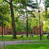Гарвардский университет
